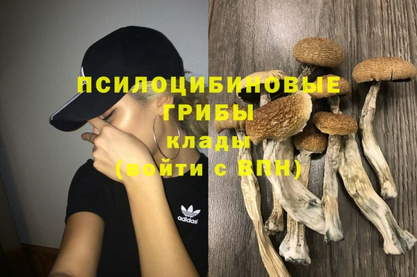 COCAINE Горно-Алтайск
