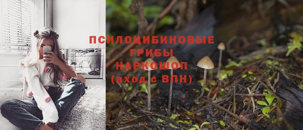 COCAINE Горно-Алтайск