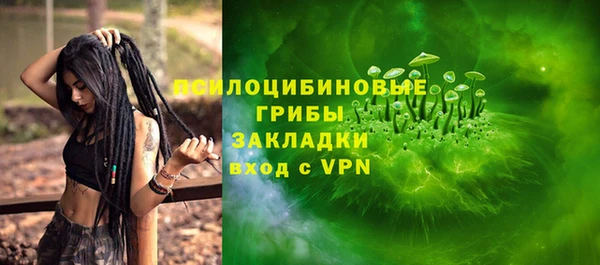 дживик Горнозаводск